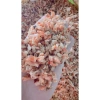 Khô Đầu Tôm Gạch Sạch Vỏ 1kg - Hương Vị Tươi Ngon, Giảm Giá Đặc Biệt 170.000đ (Giá Gốc 205.700đ)