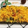 Khô Gà Lá Chanh Siêu Ngon 1kg Đậm Vị Cay Mặn Ăn Là Ghiền Giá Ưu Đãi 339.000 VND 5