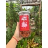 Khô Heo Cháy Tỏi 250gr - Hàng Ngon Xuất Khẩu, Tỏi Riêng, Giá 140k KHOZII FOOD 7