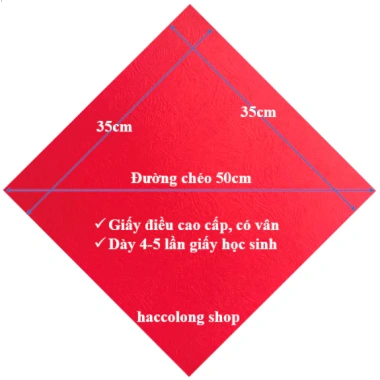 Khổ lớn Thư Pháp viết theo yêu cầu trang trí Tết derco giấy cao cấp 34-38cm 27.000đ 4