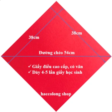 Khổ lớn Thư Pháp viết theo yêu cầu trang trí Tết derco giấy cao cấp 34-38cm 27.000đ 5