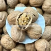 Kho sỉ Hạt Óc Chó Mỹ Loại 1 Giá 25.000₫ - Dinh Dưỡng, Giàu Protein, Tốt cho Chó
