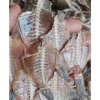 Khô Xương Cá Bò Giòn Rụm - Vựa Khô Tú Sương, Tặng Kèm Mắm Tắc, Giá 79.000 VNĐ 4