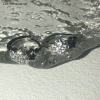 Khóa tai Retro Zircon Pha lê Pentagram Ngôi sao - Bông tai nữ thời trang, quà tặng 40k 2