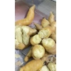 Khoai Lang Thanh An Bở Thơm - Đặc sản Điện Biên, Giá chỉ 33.000 dong (Giảm từ 41.910 dong)