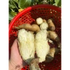 Khoai Lang Thanh An Bở Thơm - Đặc sản Điện Biên, Giá chỉ 33.000 dong (Giảm từ 41.910 dong) 5