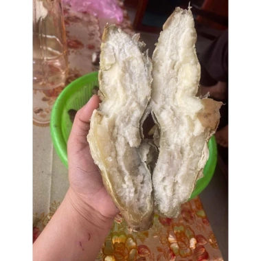 Khoai Lang Thanh An Bở Thơm - Đặc sản Điện Biên, Giá chỉ 33.000 dong (Giảm từ 41.910 dong)