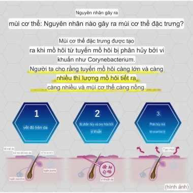 Khử mùi cơ thể Mentholatum Nhật Bản 30ml - Hương thơm lâu, giảm giá 195k