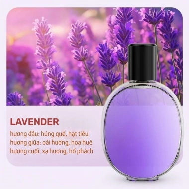 Khuếch tán tinh dầu, tạo độ ẩm, xông phòng ngủ hương thơm dịu nhẹ, giá 25.000 VND 10