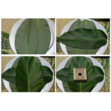 Khuôn Bánh Chưng Thông Minh – Tạo Bánh Vuông Đậm Đà 1kg‑2.2kg, Độ Dày Đủ, Giá Ưu Đãi 109k