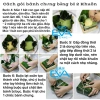 Khuôn Gói Bánh Chưng Gỗ Tự Nhiên Cao Cấp - Bộ 2 Size 10-20cm, Bánh Vuông Vức Đẹp Mắt 9