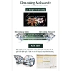 Khuyên tai bạc nữ Phuc Minh Jewelry PMJ189K đính đá kim cương Moissanite cao cấp, sang trọng - Giảm giá 22% chỉ 1.089.000₫ 8