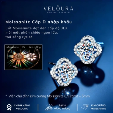 Khuyên tai nữ kim cương Moissanite 0,5ct – Chính hãng VELOURA Cỏ bốn lá cao cấp – Giá ưu đãi 1.055.000₫ 2
