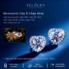 Khuyên Tai Nữ Moissanite 0,5 Carat Trái Tim Cao Cấp - VELOURA Chính Hãng GRA VJKT005 Giá ưu đãi 1,129,000₫ 2