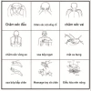 Kích hoạt dầu giảm đau cổ, thắt lưng, sốt, xoa bóp, tinh dầu kích hoạt kinh mạch cho người cao tuổi - 69.800 VND 6
