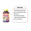 Kidney Support – Viên uống bổ thận tráng dương thanh lọc tăng chức năng thận 2