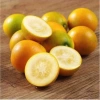 Kim quất ngọt 1kg - Quất tắc ngọt, giá chỉ 85.000đ (giảm từ 110.500đ) 5