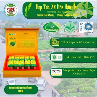 Kim tuyến chè tôm nõn 5 gói 1 lạng HTX Hảo Đạt Tân Cương, chỉ 700k
