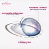 Kính áp tròng ANN LENS 1 ngày Cafe Choco - Cận 0-8, màu nâu cafe, chỉ 47.000 VND 4