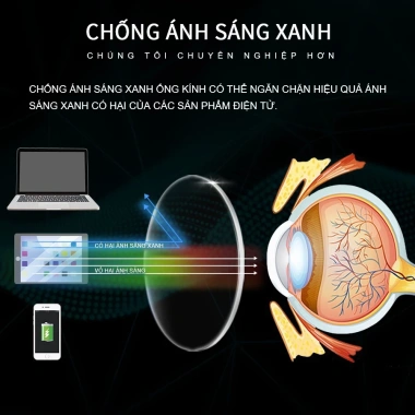 Kính Cận Viendo Độ 1-6 Gọng Kim Loại, Chống Ánh Sáng Xanh UV, Đổi Màu Khi Nắng 8