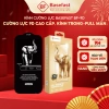 Kính Cường Lực 9D Cao Cấp Basefast Dán Màn Hình Trước - Chỉ 75.000 VND