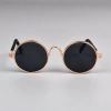 Kính mát thú cưng gọng vàng vintage cho mèo & chó - tặng dây chống tuột, chụp ảnh cực chất 5