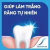 KOL x Sensodyne - Bộ 3 kem đánh răng Repair & Protect Deep Repair 100g, phục hồi sâu, bảo vệ răng, giảm còn 291,060₫ 3