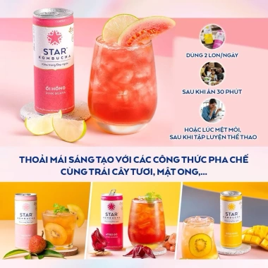 Kombucha Star 2 Túi 6 Vị Combo 2.027 - Giá chỉ 639.900₫, 250ml x24 lon