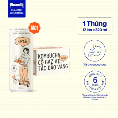 Kombucha thùng 12 lon 320ml có gaz, nhiều vị - Giá ưu đãi, nhận bao bì Tết 10