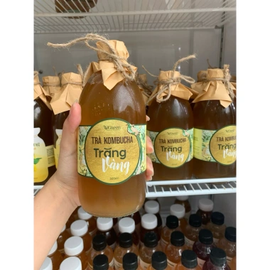 Kombucha Trăng Vàng 500ml Vgreen Chai Probiotic Giảm Giá Giá 106.250 VND 3 Kombucha Trăng Vàng 500ml Vgreen Chai Probiotic Giảm Giá Giá 106.250 VND 3