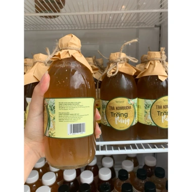 Kombucha Trăng Vàng 500ml Vgreen Chai Probiotic Giảm Giá Giá 106.250 VND 5 Kombucha Trăng Vàng 500ml Vgreen Chai Probiotic Giảm Giá Giá 106.250 VND 5