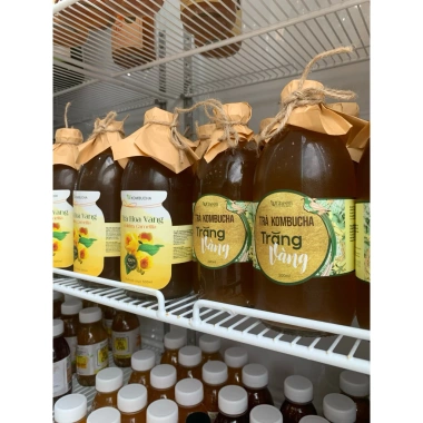Kombucha Trăng Vàng 500ml Vgreen Chai Probiotic Giảm Giá Giá 106.250 VND 8 Kombucha Trăng Vàng 500ml Vgreen Chai Probiotic Giảm Giá Giá 106.250 VND 8