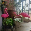 KOZEEY Flamingo Cổ Trang Trí Vườn và Sân Hiên - Phụ Kiện Bãi Cỏ Giá Ưu Đãi 110k 2