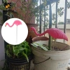 KOZEEY Flamingo Cổ Trang Trí Vườn và Sân Hiên - Phụ Kiện Bãi Cỏ Giá Ưu Đãi 110k 8