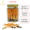Ký Chủ Nhộng Đông Trùng Hạ Thảo Sấy Khô 50 Cái KaiHabu Giá Ưu Đãi 900.000