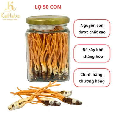 Ký Chủ Nhộng Đông Trùng Hạ Thảo Sấy Khô 50 Cái KaiHabu Giá Ưu Đãi 900.000