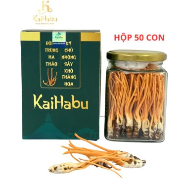 Ký Chủ Nhộng Đông Trùng Hạ Thảo Sấy Khô 50 Cái KaiHabu Giá Ưu Đãi 900.000
