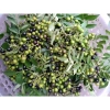 Lá cà ri tươi 100gr - Gia vị Ấn Độ chuẩn vị, giảm giá 25k chỉ 25.000đ 2