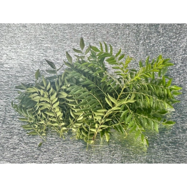 Lá cà ri tươi Hỏa tốc 3h giảm giá 25k Fresh Curry Leaves hương vị thơm ngon 3