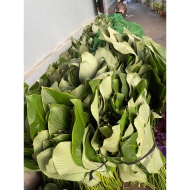 Lá dong nếp gói bánh chưng 20 lá - Giá chỉ 40.000đ, giảm mạnh so với 48.800đ