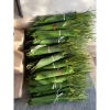 Lá dong nếp gói bánh chưng 20 lá - Giá chỉ 40.000đ, giảm mạnh so với 48.800đ 2