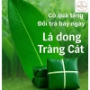 Lá Dong Nếp Tươi Gói Bánh Chưng, Bánh Tét - Chất Lượng Cao, Giá 60k