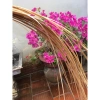 Lá dong trung bình size 22 gói bánh trưng + 50 dây lạt giá rẻ 55.000 Miền Bắc 2