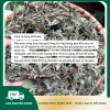 Lá Hương Nhu Khô Tự Nhiên 45k Thơm Nồng Dược Liệu Sạch Dùng Gội Đầu Giải Cảm 7