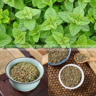 Lá kinh giới tây sấy lạnh 100g Oregano - Gia vị Âu ướp steak, pizza, mì ý 16.000 VND