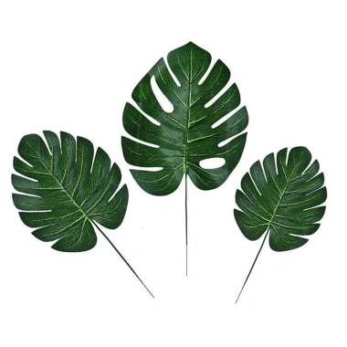 Lá Rùa Giả Trang Trí Sinh Nhật Đẹp - Giá 10.000₫ (Giá gốc 12.900₫) - Đồ Tiệc Nhẹ Nhàng, Thân Thiện Môi Trường 4