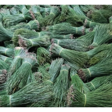Lá thông tươi 500g-1kg (thông kim) - Cành tươi, tự nhiên, giảm giá 15.000đ 5 Lá thông tươi 500g-1kg (thông kim) - Cành tươi, tự nhiên, giảm giá 15.000đ 5