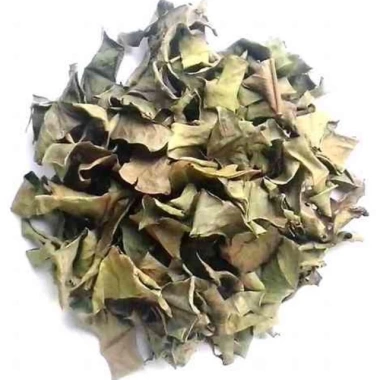 Lá vối khô nhà trồng thơm ngon, giá chỉ 50.000đ giảm từ 61.500đ, mua ngay 2 Lá vối khô nhà trồng thơm ngon, giá chỉ 50.000đ giảm từ 61.500đ, mua ngay 2