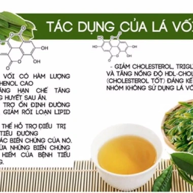 Lá vối khô nhà trồng thơm ngon, giá chỉ 50.000đ giảm từ 61.500đ, mua ngay 4 Lá vối khô nhà trồng thơm ngon, giá chỉ 50.000đ giảm từ 61.500đ, mua ngay 4