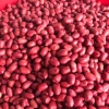Lạc đỏ 500g-1kg giá siêu ưu đãi 46.000đ, hương vị thơm ngon, dinh dưỡng cao